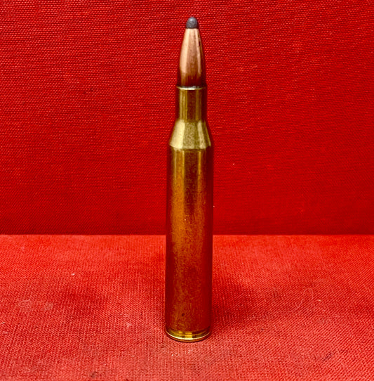 .25-06 INERT Brass Cartridge Soft Point FC