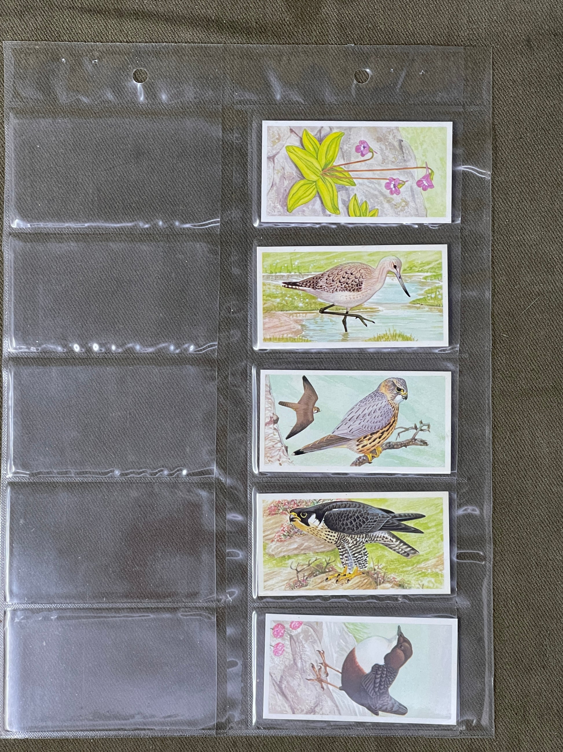 Brooke Bond A Journey Downsteam Cards 1990