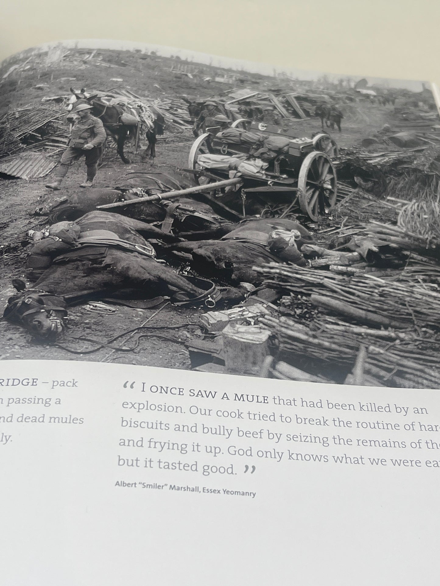 The Faces of World War I by Max Arthur