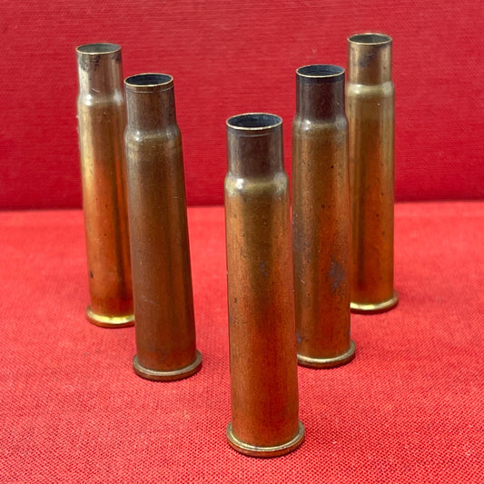 303 Empty Brass Cartridge Case