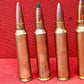 Selection of 6 × Inert .223 / 5.56 NATO Rounds – Hunting & Military Mix
