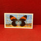 Brooke Bond Tea Butterflies of the World Trading Cards 1964