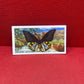 Brooke Bond Tea Butterflies of the World Trading Cards 1964