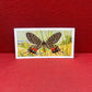 Brooke Bond Tea Butterflies of the World Trading Cards 1964