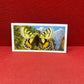 Brooke Bond Tea Butterflies of the World Trading Cards 1964