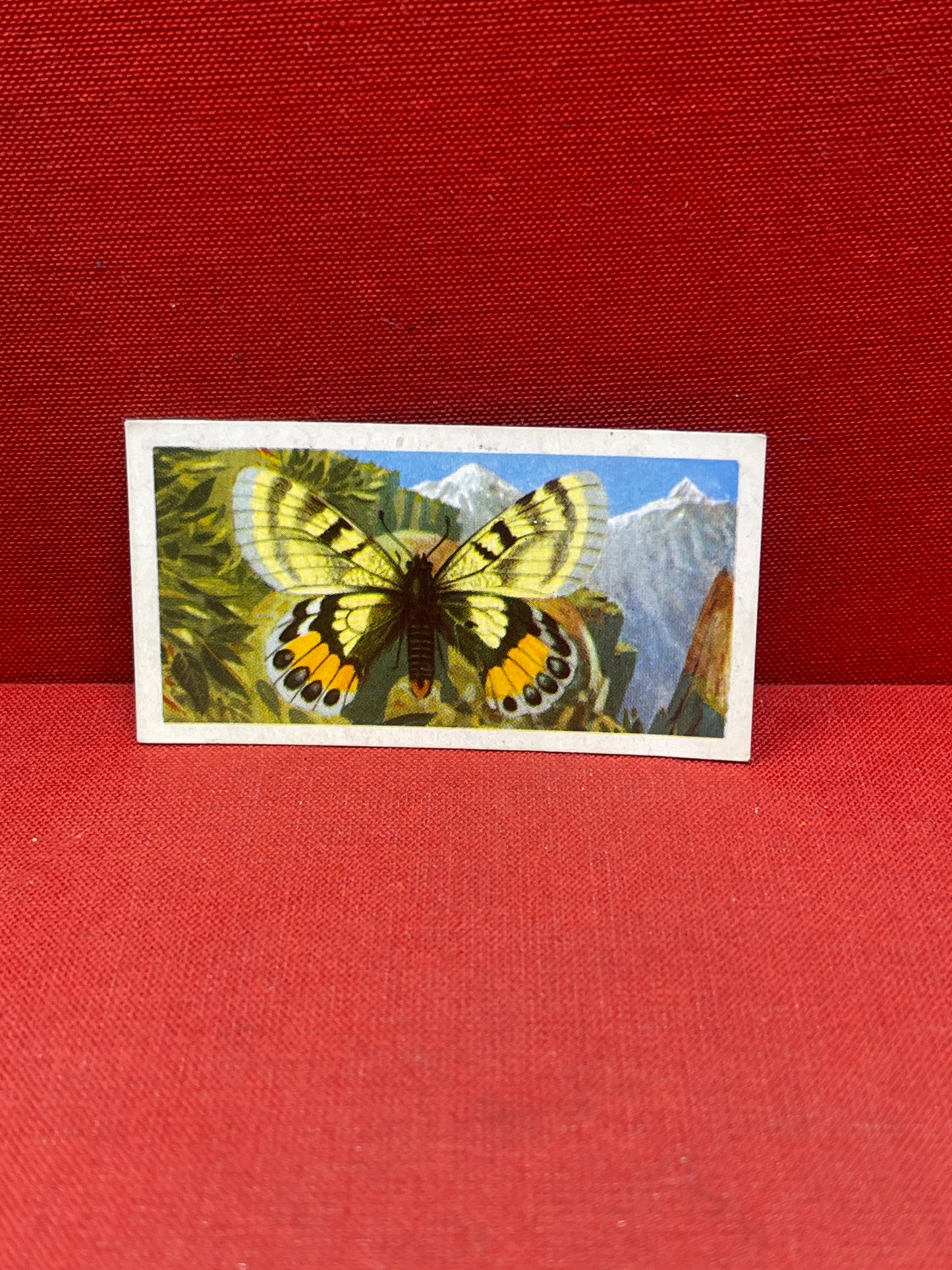 Brooke Bond Tea Butterflies of the World Trading Cards 1964