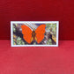 Brooke Bond Tea Butterflies of the World Trading Cards 1964