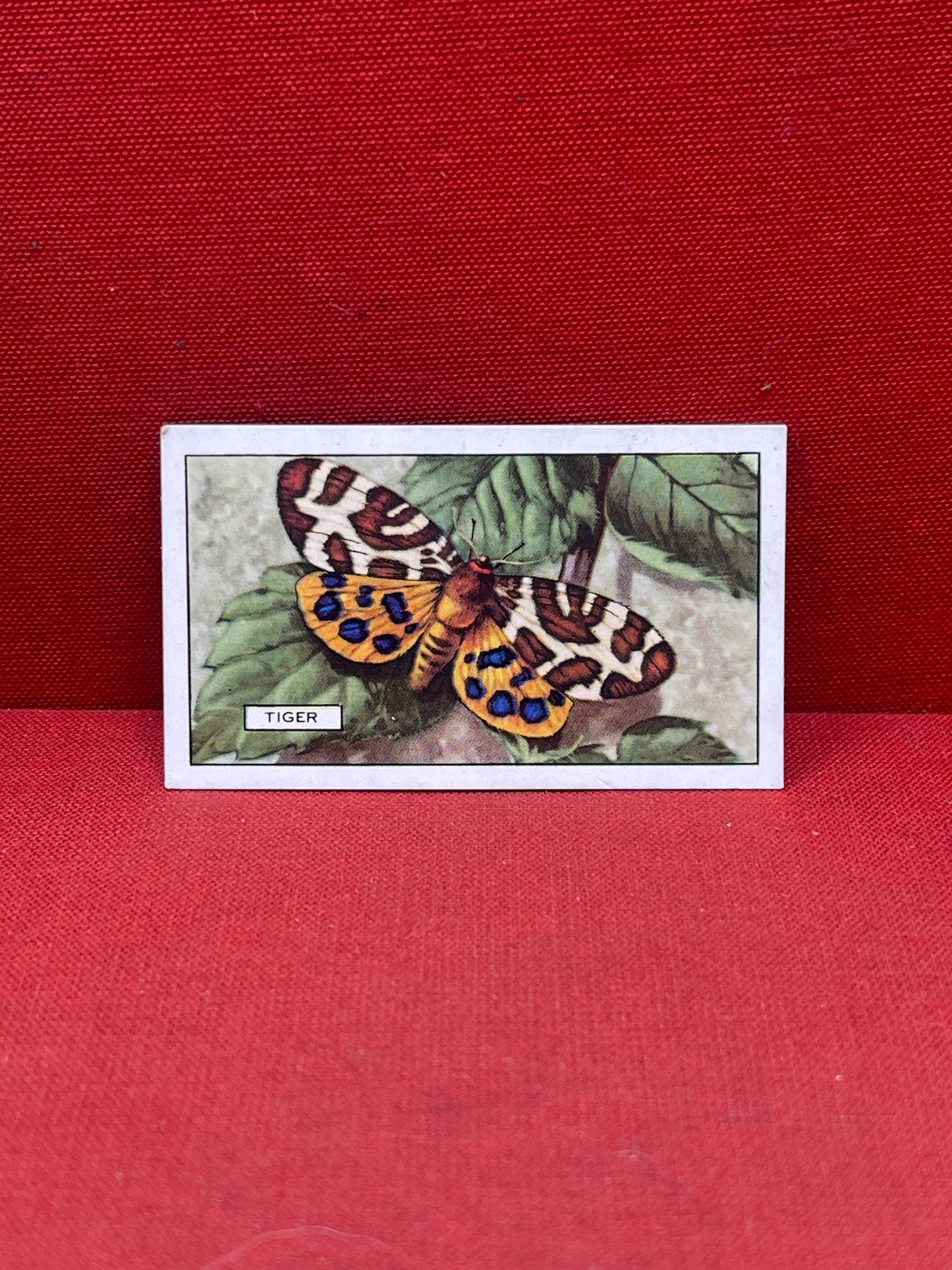 Gallaher Ltd Butterflies and Moths Cigarette Cards 1938