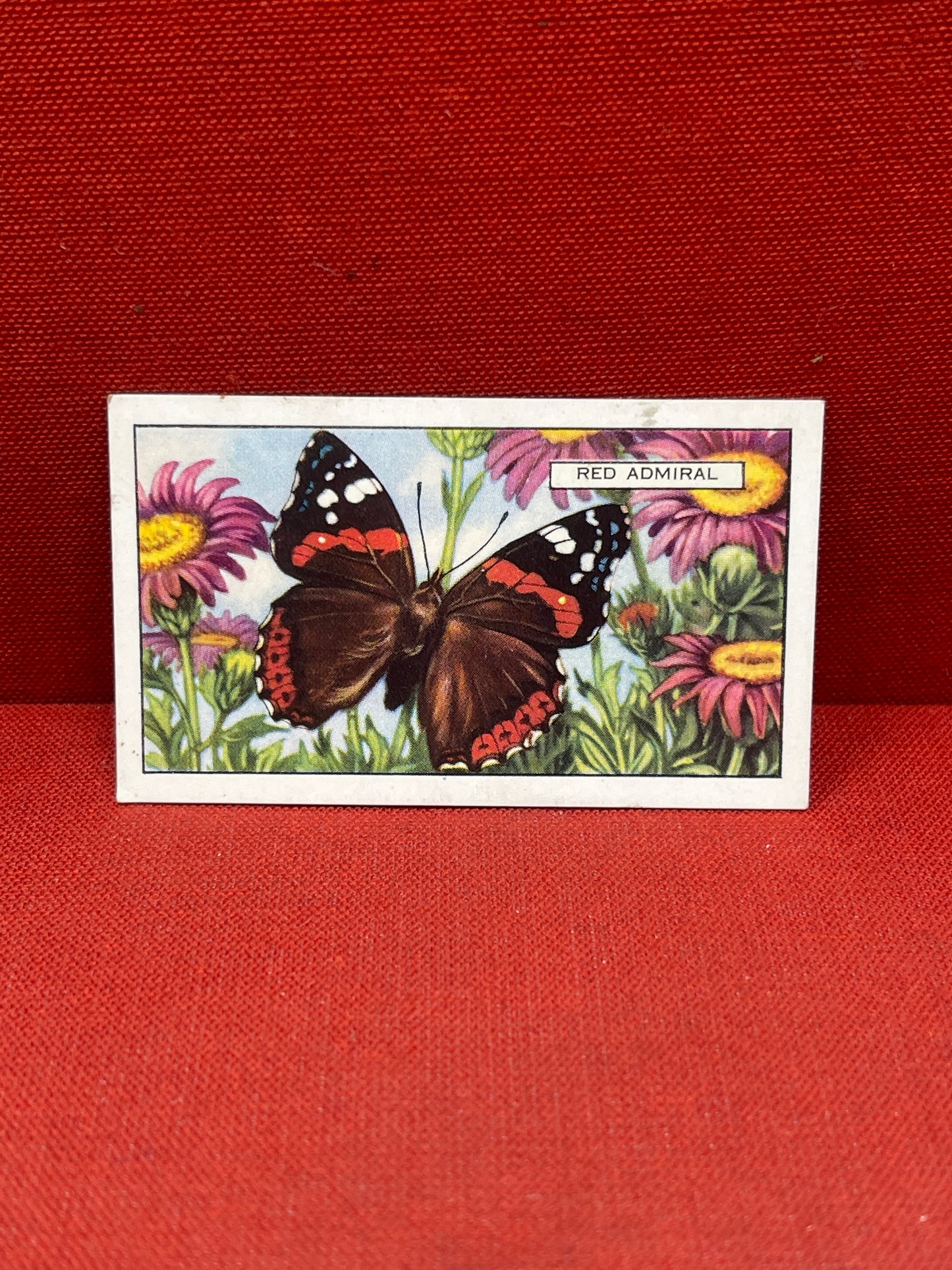 Gallaher Ltd Butterflies and Moths Cigarette Cards 1938