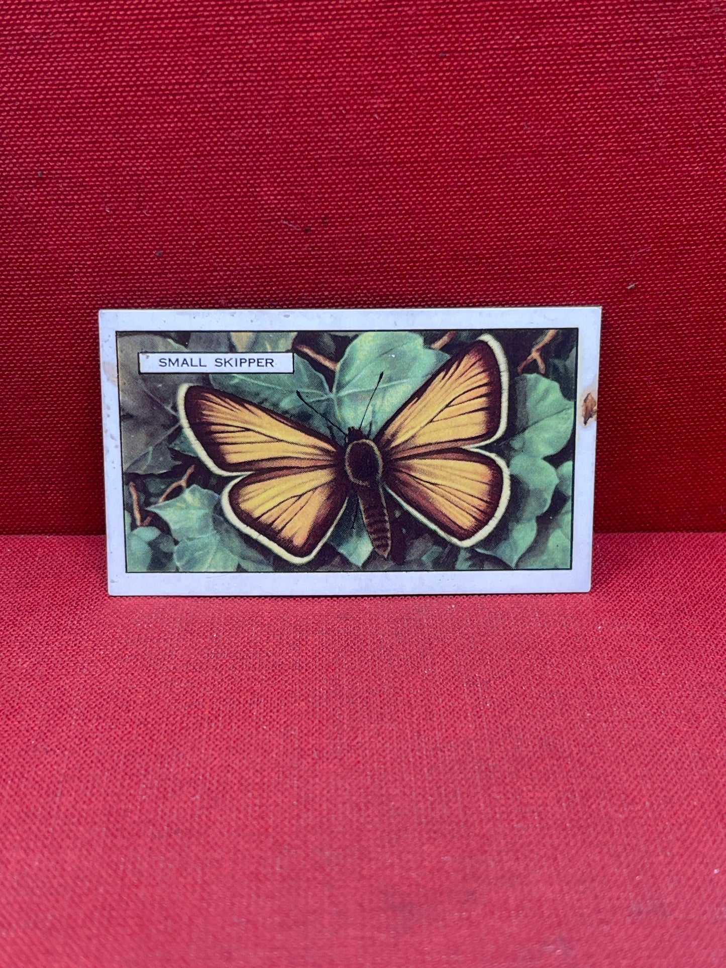 Gallaher Ltd Butterflies and Moths Cigarette Cards 1938