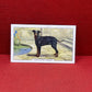 Gallaher Ltd Dogs 2nd Series Cigarette Cards 1938