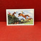 Gallaher Ltd Racing Scenes Series 48  Cigarette Cards 1938