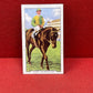 Gallaher Ltd Racing Scenes Series 48  Cigarette Cards 1938