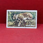 Gallaher `Ltd Cigarette Cards Wild Animals