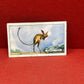 Gallaher `Ltd Cigarette Cards Wild Animals