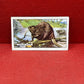 Gallaher `Ltd Cigarette Cards Wild Animals 1937