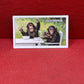 Gallaher `Ltd Cigarette Cards Wild Animals 1937