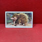 Gallaher `Ltd Cigarette Cards Wild Animals 1937