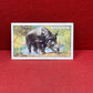 Gallaher `Ltd Cigarette Cards Wild Animals 1937