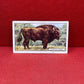 Gallaher `Ltd Cigarette Cards Wild Animals 1937