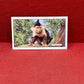 Gallaher `Ltd Cigarette Cards Wild Animals