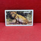 Gallaher `Ltd Cigarette Cards Wild Animals 1937