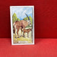 Gallaher `Ltd Cigarette Cards Wild Animals