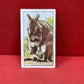 Gallaher `Ltd Cigarette Cards Wild Animals 1937