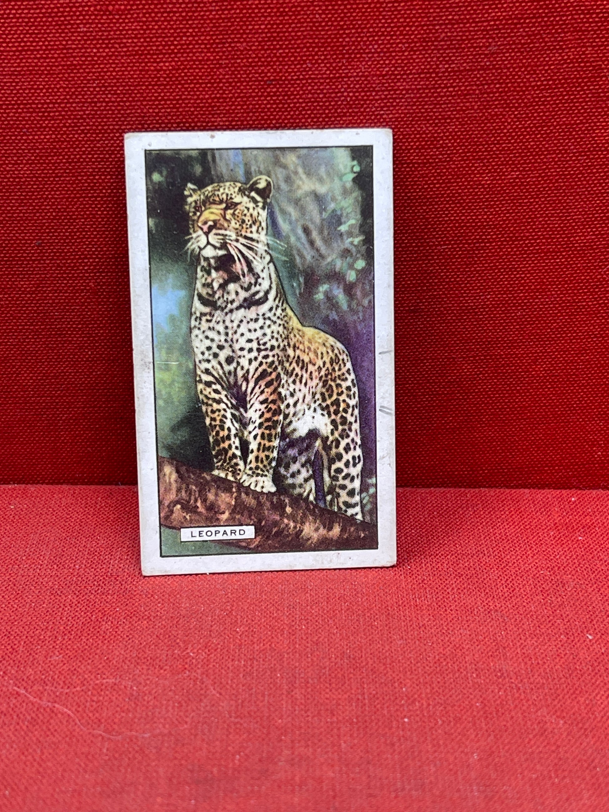 Gallaher `Ltd Cigarette Cards Wild Animals