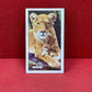 Gallaher `Ltd Cigarette Cards Wild Animals 1937