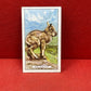 Gallaher `Ltd Cigarette Cards Wild Animals