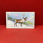 Gallaher `Ltd Cigarette Cards Wild Animals 1937