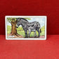 Gallaher `Ltd Cigarette Cards Wild Animals 1937