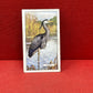 Gallaher Ltd British Birds Cigarette Cards 1937