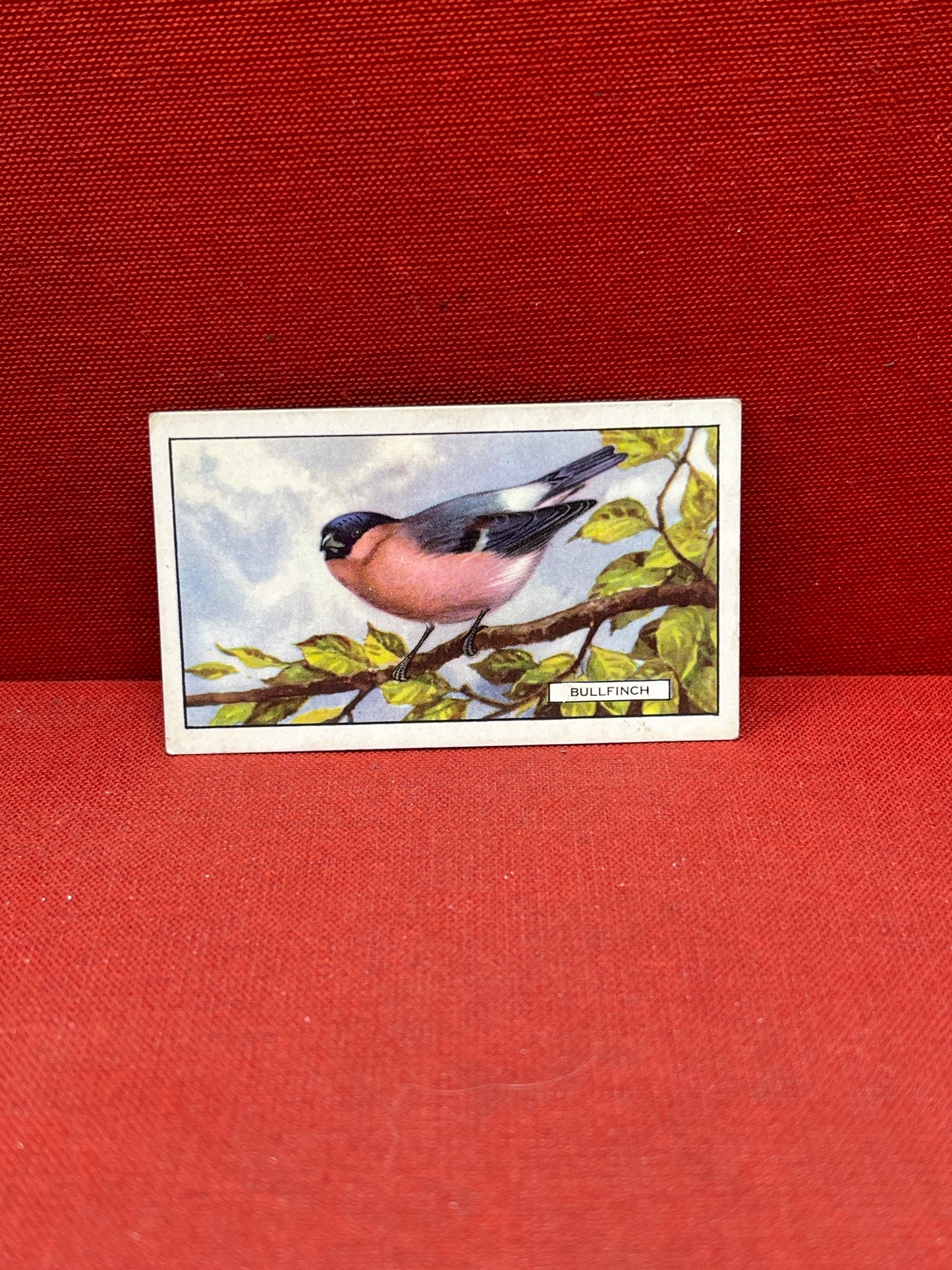 Gallaher Ltd British Birds Cigarette Cards 1937