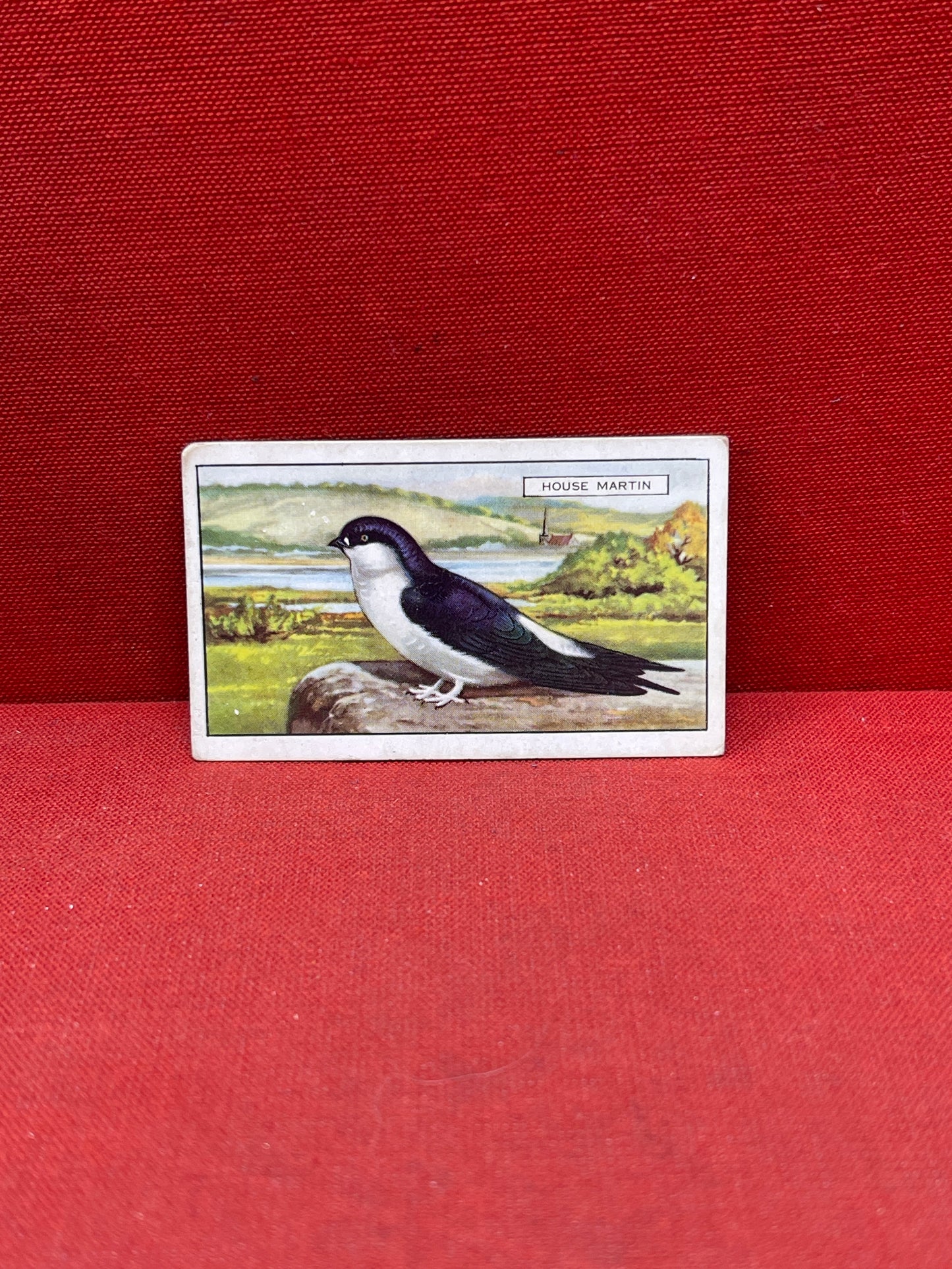 Gallaher Ltd British Birds Cigarette Cards 1937