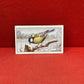 Gallaher Ltd British Birds Cigarette Cards 1937