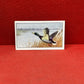 Gallaher Ltd British Birds Cigarette Cards 1937