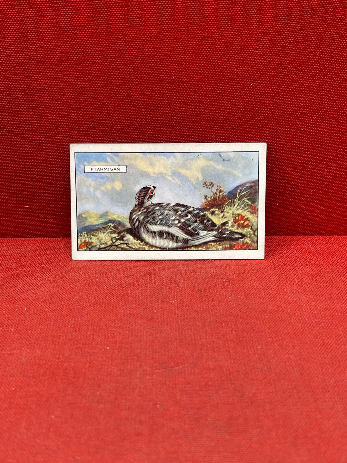 Gallaher Ltd British Birds Cigarette Cards 1937