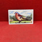 Gallaher Ltd British Birds Cigarette Cards 1937