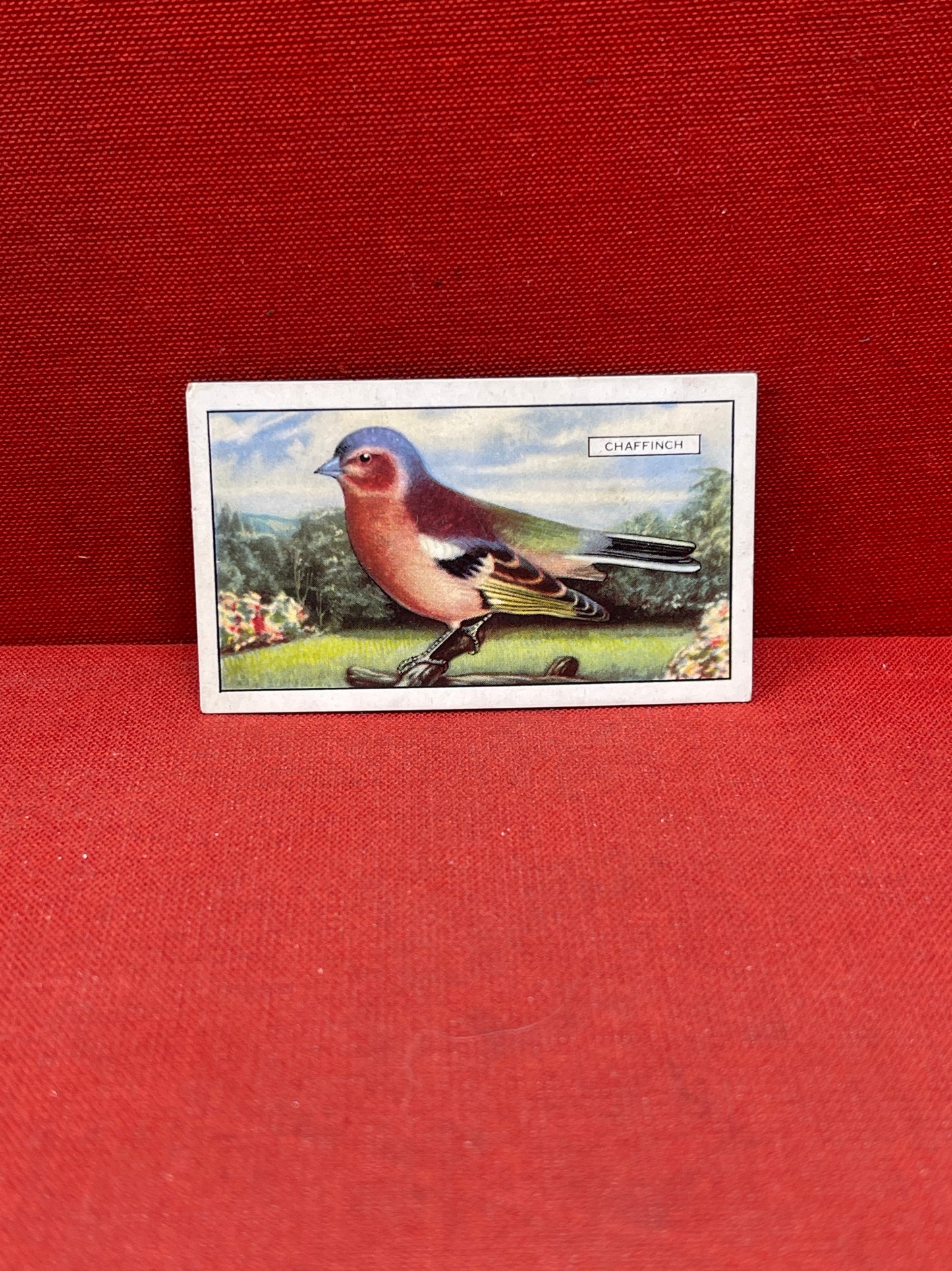 Gallaher Ltd British Birds Cigarette Cards 1937