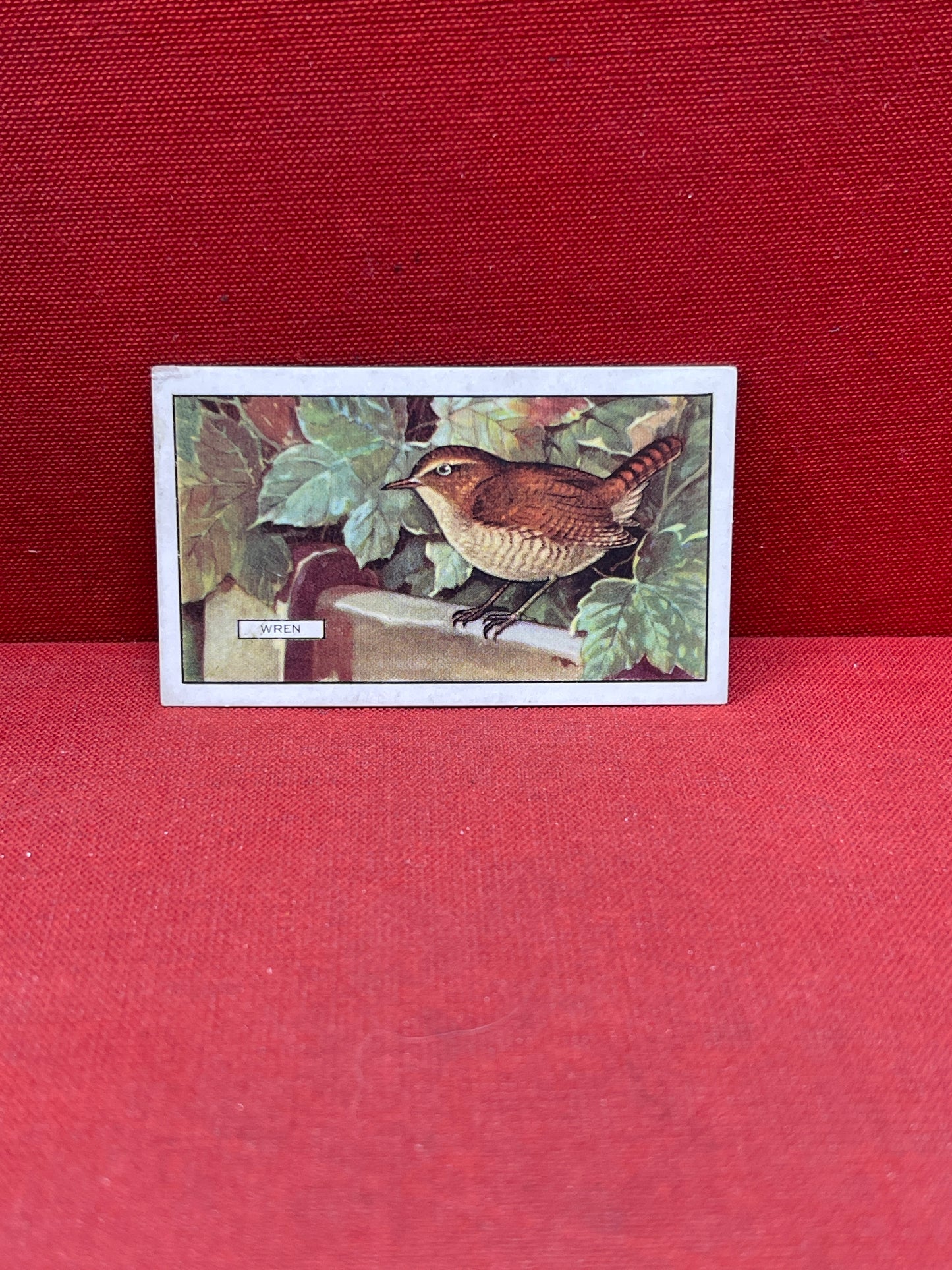 Gallaher Ltd British Birds Cigarette Cards 1937