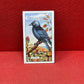 Gallaher Ltd British Birds Cigarette Cards 1937