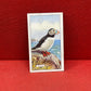 Gallaher Ltd British Birds Cigarette Cards 1937