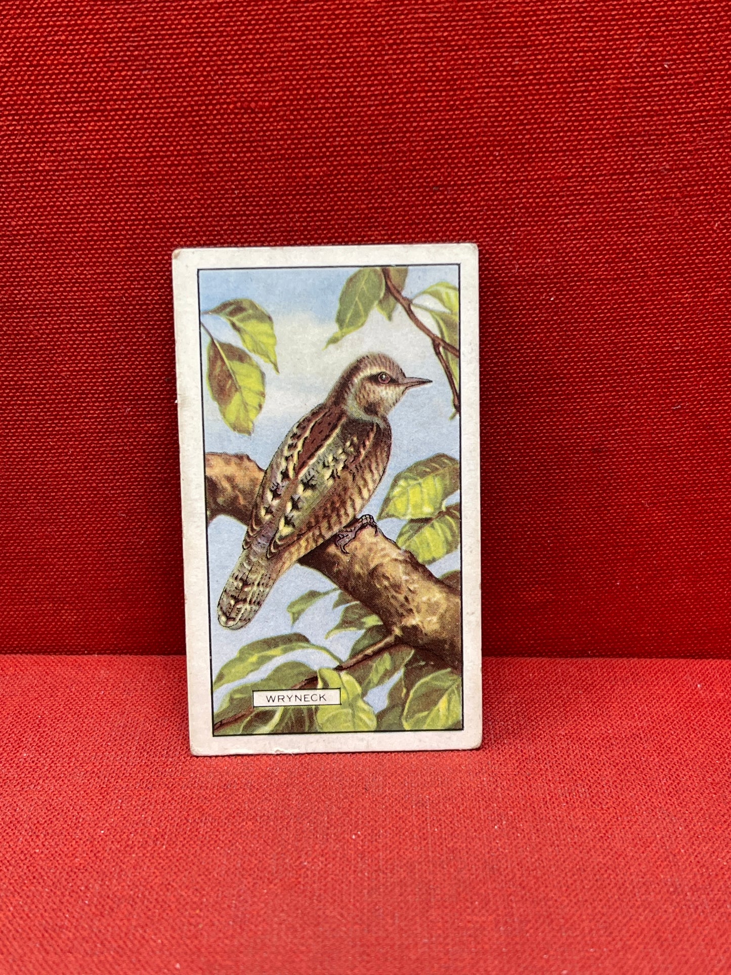 Gallaher Ltd British Birds Cigarette Cards 1937