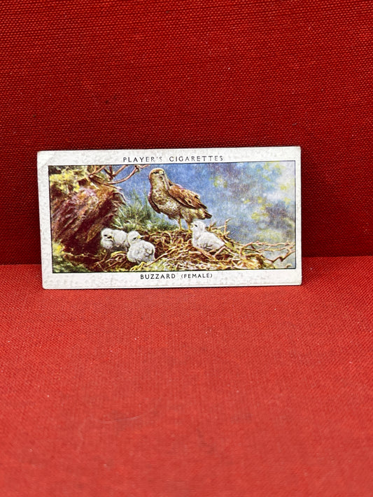 John Player & Sons Bird & Their Young Cigarette Cards