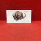 John Player & Sons Wild Animal Heads Cigarette Cards 1931