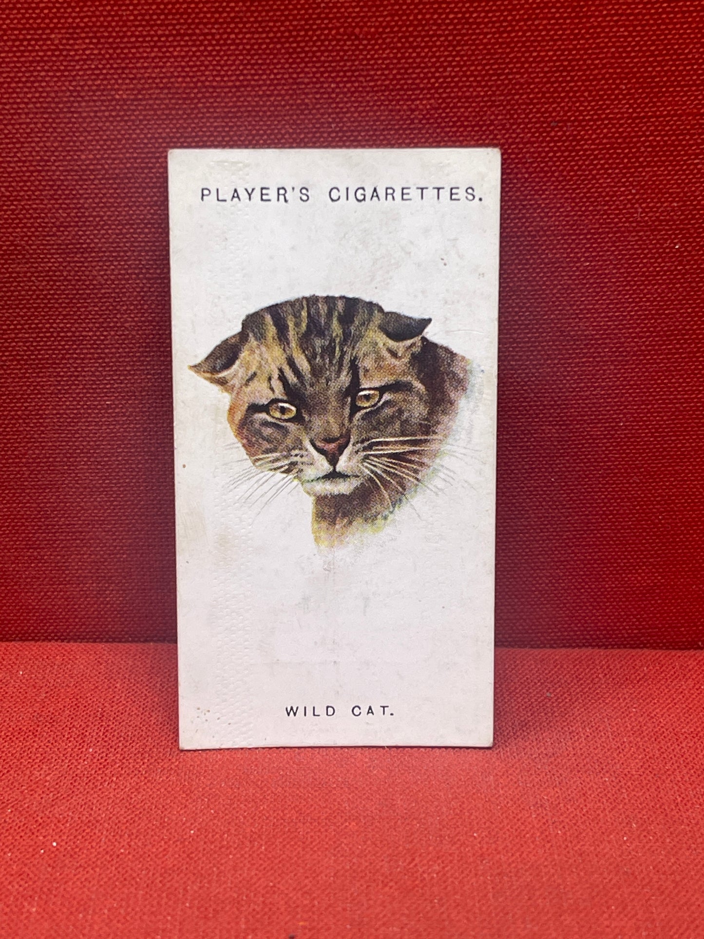 John Player & Sons Wild Animal Heads Cigarette Cards 1931