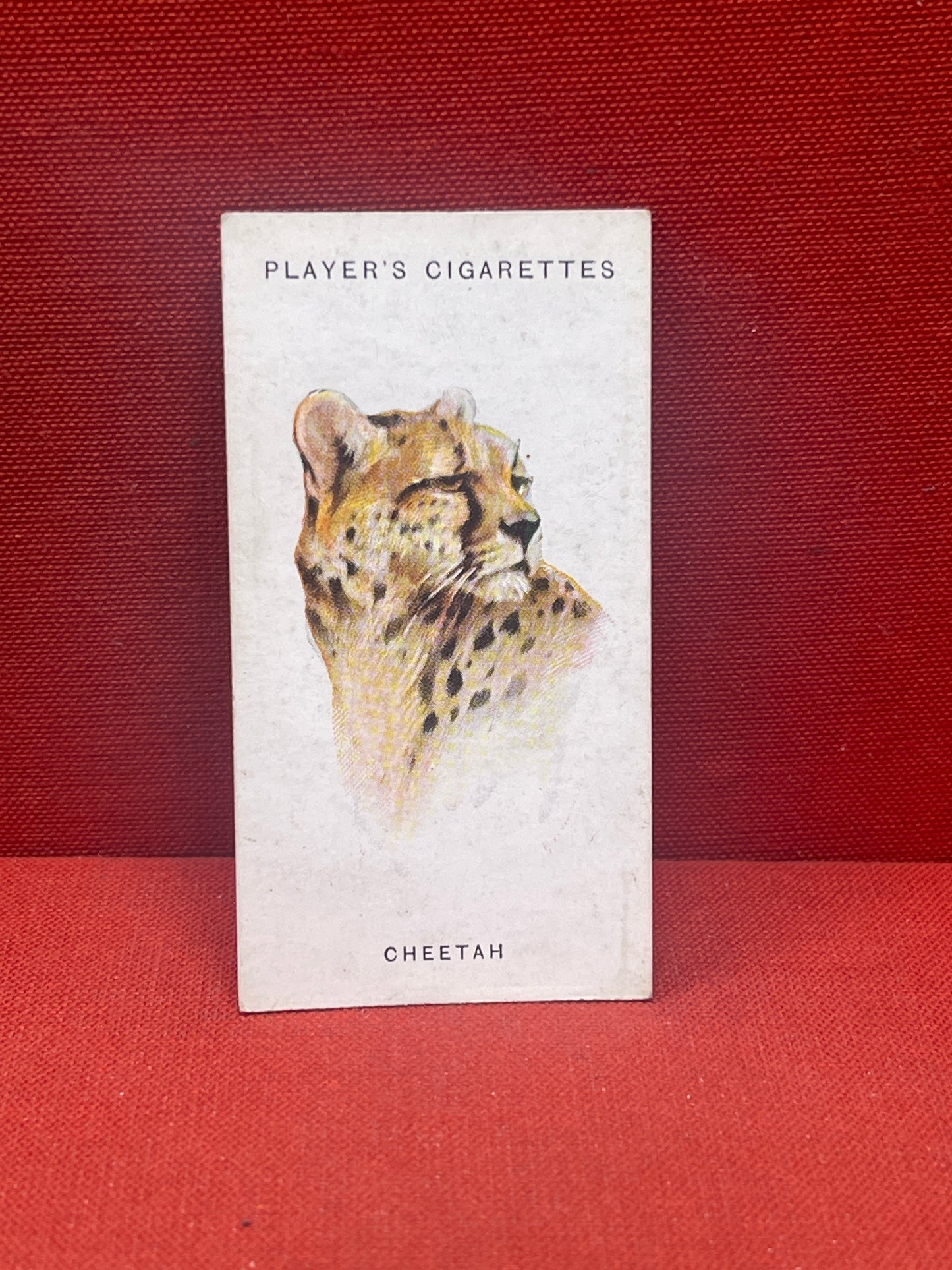 John Player & Sons Wild Animal Heads Cigarette Cards 1931