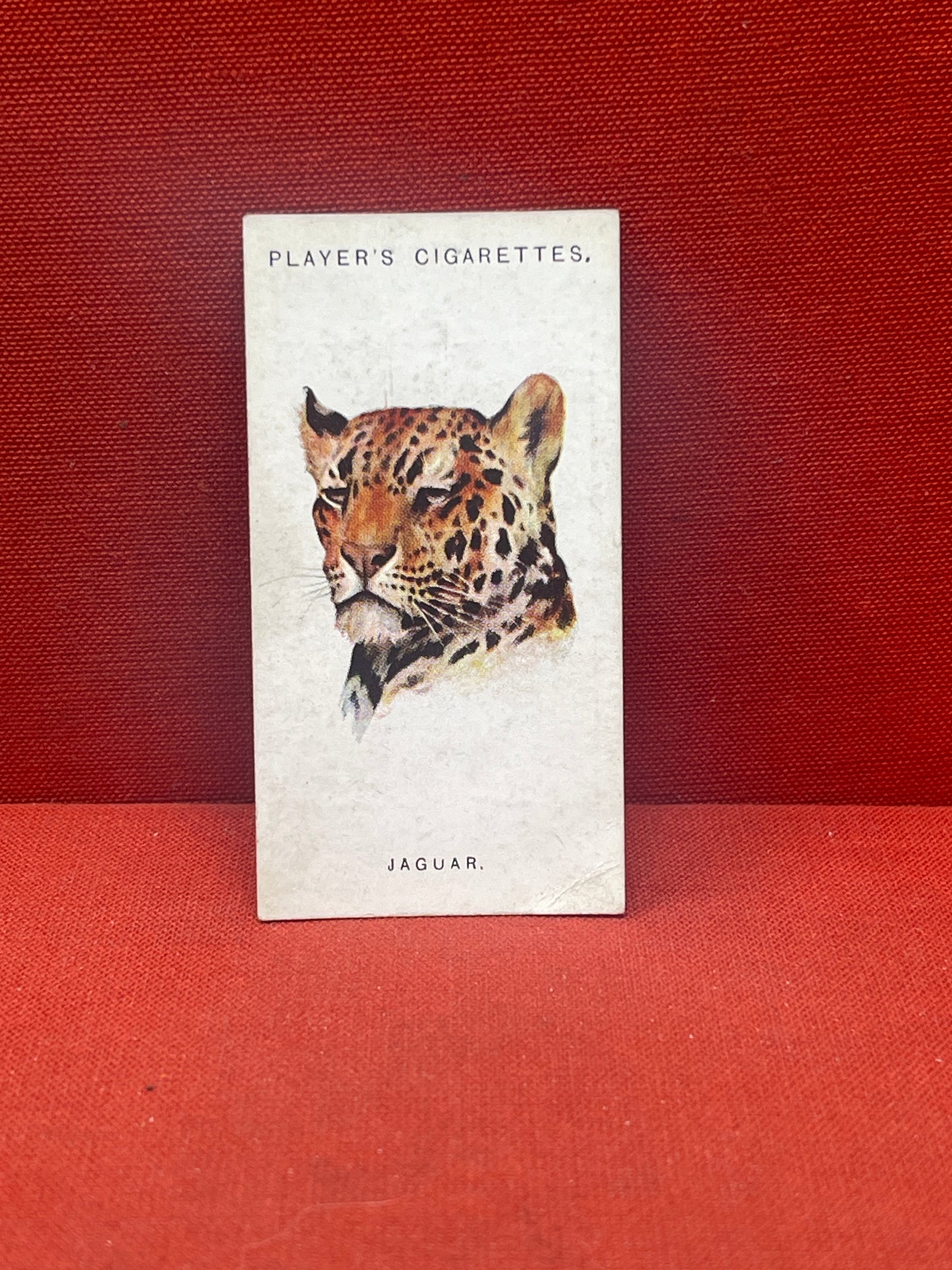 John Player & Sons Wild Animal Heads Cigarette Cards 1931